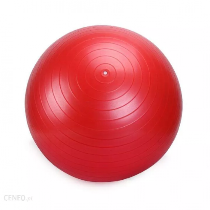 ARMAGEDDON Gymnastic Ball With a Pump 65 cm / Гимнастическа Топка с Помпа 65 см​